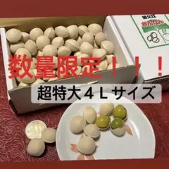 数量限定!先着順!超特大4Lサイズ