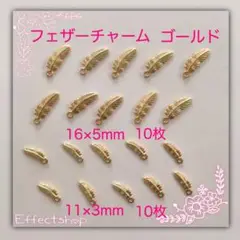 フェザーチャームＧ