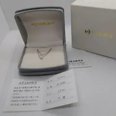 田崎真珠二連ネックレス