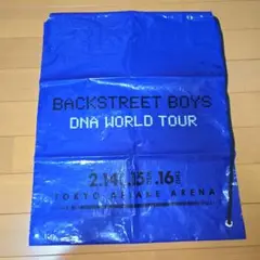 バックストリートボーイズ　Backstreetboys ビニールバッグ　非売品