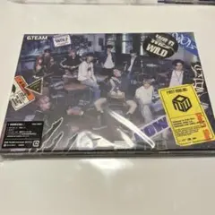 &TEAM WILD & STARTLINE CD 2枚セット