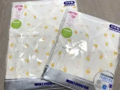 Item thumbnail for item a295bae5-9351-44f1-bf8b-40c940259a5b