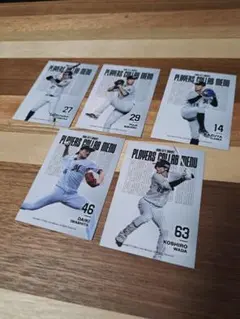 千葉ロッテマリーンズ 選手コラボメニューカードセット