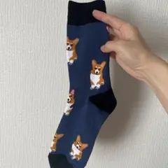 Item thumbnail for item e541c8d7-895f-47c5-a4aa-15f0ae79e214