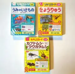 知育玩具　ものしりカード 3種 × 30枚　計90枚