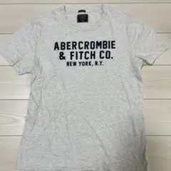 Abercrombie & Fitch Tシャツ XL ライトグレー