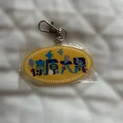 Item thumbnail for item 05bdcd8a-b082-471b-b0f3-0936203a02a6