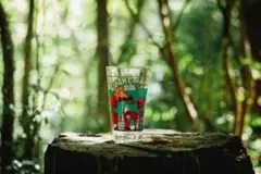 HILLSFIELD パイントグラス 伊豆のぬし釣り OSAKEMAN480ml