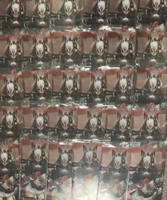 ブルーアーカイブ ブルアカ ウエハース4 ワカモ No.24 30枚セット