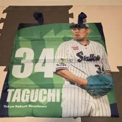 東京ヤクルトスワローズ 田口投手シートクッション＋特典