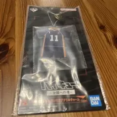 ハイキュー 一番くじ 月島蛍 F賞