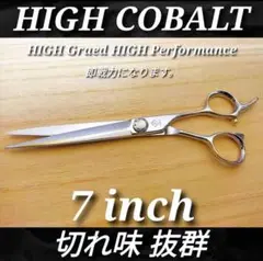 Item thumbnail for item 014b0dd7-5b54-413b-acb0-c24b5d50e546