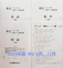 早稲アカ 中2特訓クラス選抜 2024年9月、11月 2回分 国数英 3教科