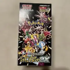シャイニートレジャーex