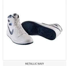 Item thumbnail for item 9282f9ba-22cd-449a-b92b-f9caefd33568