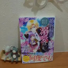 婚約解消を提案したら王太子様に溺愛されました ～お手をどうぞ、僕の君～