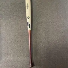 Item thumbnail for item 1788ffb1-30f3-40a7-9daa-fa093ad9dc6c