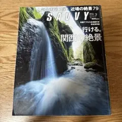 SAVVY 近場の絶景79