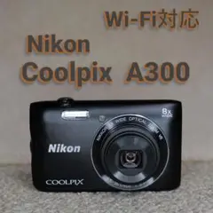 Item thumbnail for item 490fe913-5a27-4fe6-a0ee-3503d4536a3b