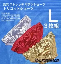 光沢 ストレッチサテンショーツ アイスシルク 3枚組になります
