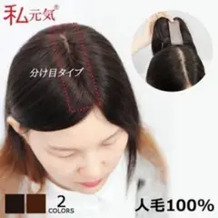 Item thumbnail for item 963b5a34-567b-4012-bf64-4d15e88d7764
