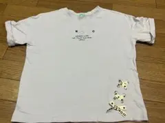 リンジィ　カンゴール　Tシャツ　Mサイズ