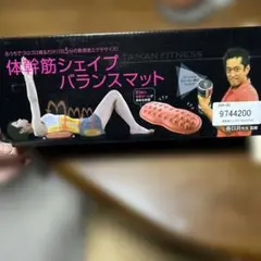 TAIKAN FITNESS 体幹筋シェイプバランスマット　未使用