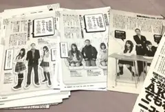 AKB48 切り抜き　約141ページダブりあり　峯岸みなみ　指原莉乃　連載