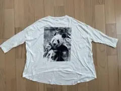 Item thumbnail for item 51480868-3688-4203-9777-749c6adac4f3