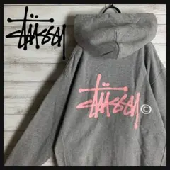 【即完売モデル】 STUSSY ステューシー パーカー デカロゴ 定番カラー