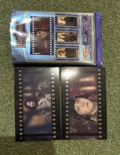 ハリーポッター フィルム風コレクション シリウス　ロン