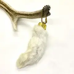 ラッキー ラビットフット 爪あり キーホルダー　お守り　24