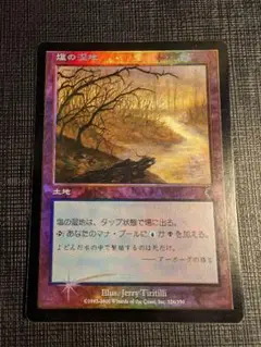 MTG　塩の湿地　日本語版FOIL　継ぎ目なし　INV