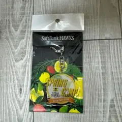 ソフトバンクホークス　宮崎キャンプ　アクリルキーホルダー