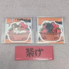 【ハイキュー】孤爪 黒尾 ステッカー ピック セット