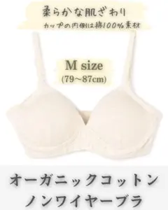 Item thumbnail for item ef8731fd-69aa-478b-8b1c-d0527cd3b67f