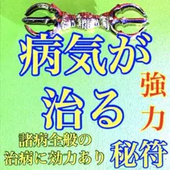 2025年最新】諸病符の人気アイテム - メルカリ