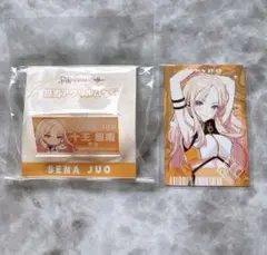 十王星南　学マス　セット売り