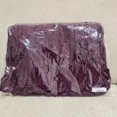 Item thumbnail for item 98486cc0-fb89-49a8-9bf2-0726cc74d695