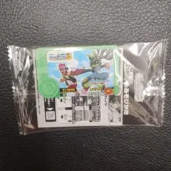 ポケモンスタンプラリー2025 フレンダピック