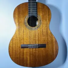 SAMICK GR-1999DE アコースティックギター エレアコ - メルカリ