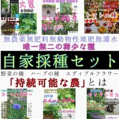 仮面ライダードライブ様専用