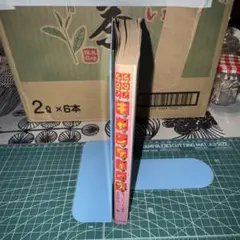 キャンディーズ革命　GOGOキャンディーズ