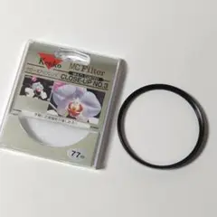 Item thumbnail for item 96b0a1d5-f051-407c-abc5-ece7d8f57858