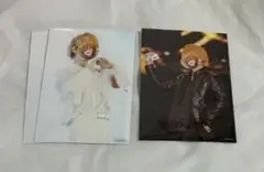 すとぷり ジェル エキスポ Expo 実写ブロマイド