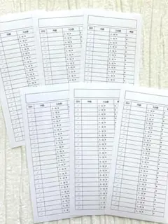 バインダー支出管理　30枚　貯金シート　支出管理　シンプル　バインダー貯金