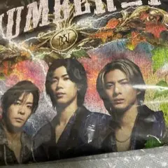 Item thumbnail for item 18dcb431-21d2-422c-8af1-c4415fec4e6d