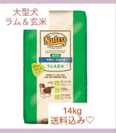 Item thumbnail for item 1a2d97c1-d854-4b72-9018-be245ab5ca80