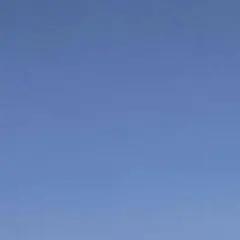 専用