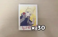 鏡音レン ぱしゃこれ 30枚セット